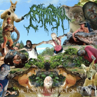 Patisserie : Victorial Austrology Patisserie : Victorial Austrology